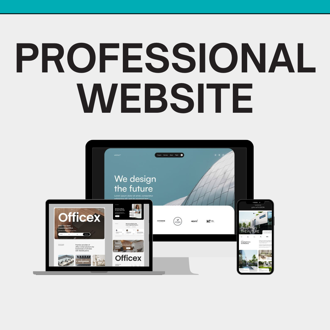 Professional Website Solutions